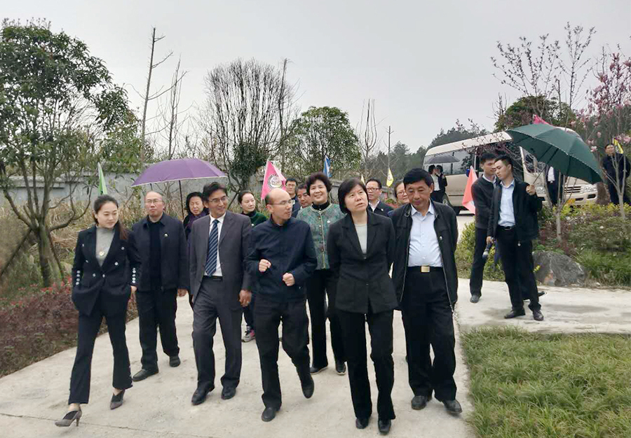 C:\Users\Administrator\Desktop\901.jpg C:\Users\Administrator\Desktop\901.jpg